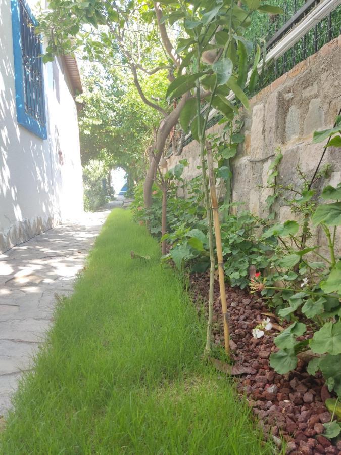 Apart Turgutreis Kültér fotó