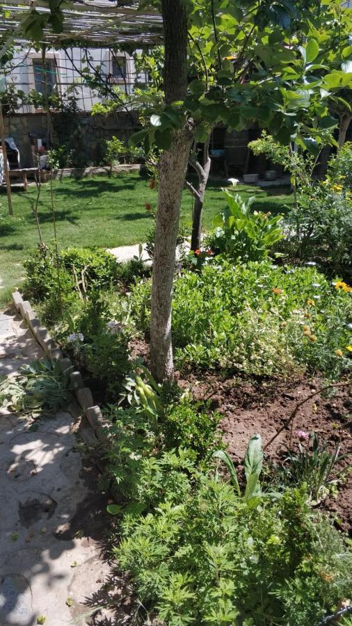 Apart Turgutreis Kültér fotó