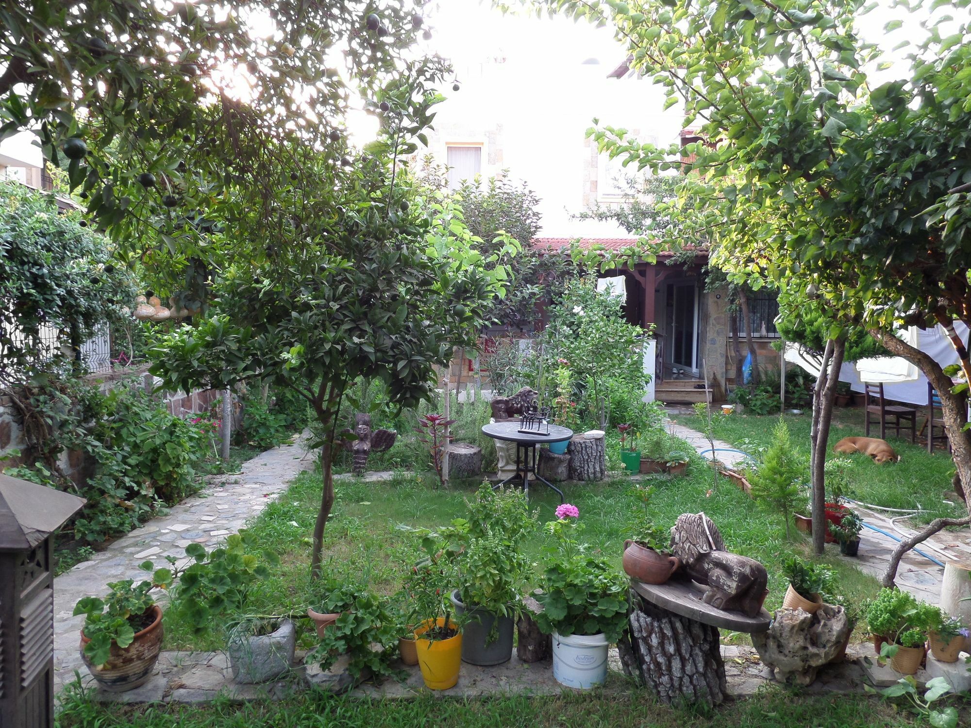 Apart Turgutreis Kültér fotó
